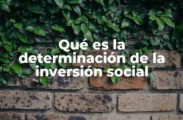 Qué es la Determinación de la Inversión Social