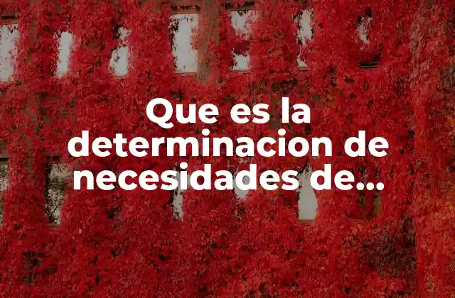 El proceso detrás de la identificación de brechas en habilidades
