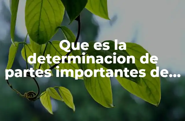 Que es la Determinacion de Partes Importantes de un Texto