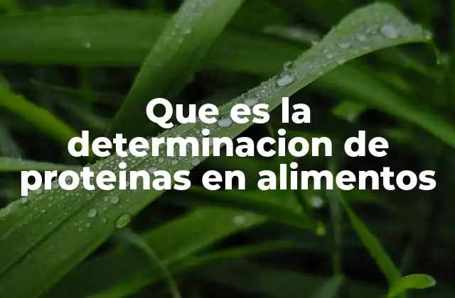 Que es la Determinacion de Proteinas en Alimentos