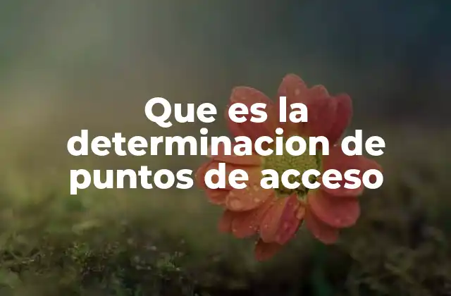 Que es la Determinacion de Puntos de Acceso
