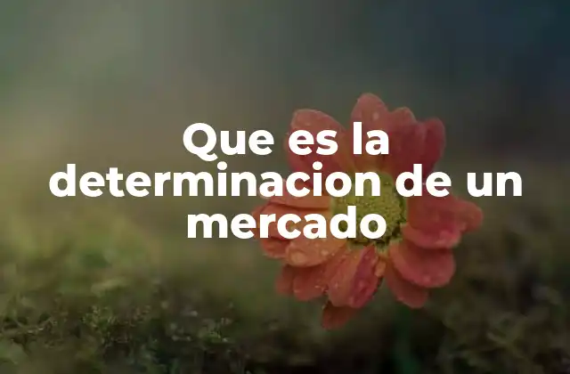 Que es la Determinacion de un Mercado