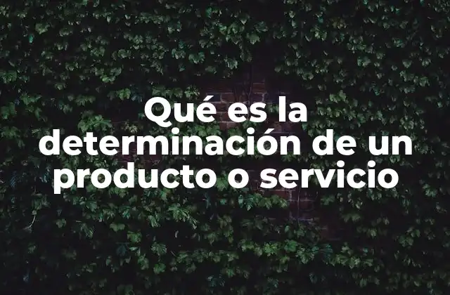 Qué es la Determinación de un Producto o Servicio