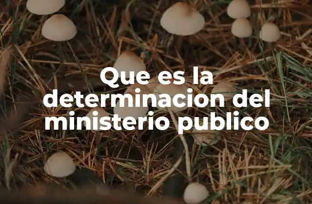 Que es la Determinacion Del Ministerio Publico