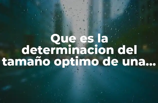 Que es la Determinacion Del Tamaño Optimo de una Planta
