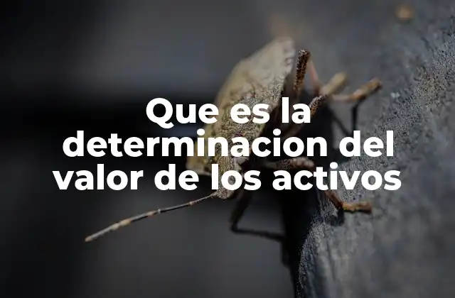 Que es la Determinacion Del Valor de los Activos