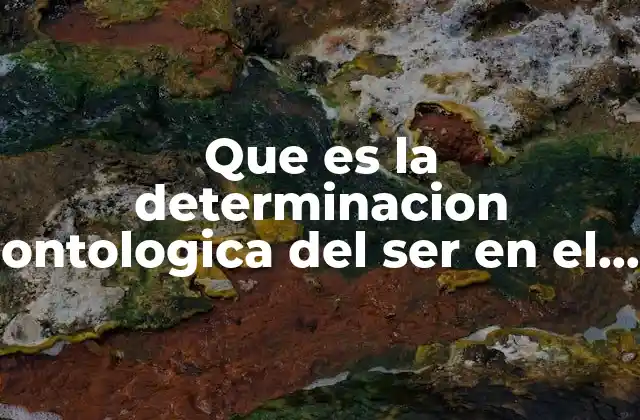 Que es la Determinacion Ontologica Del Ser en el Mundo