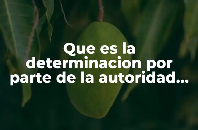 Que es la Determinacion por Parte de la Autoridad Fiscal