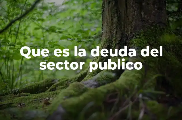Que es la Deuda Del Sector Publico
