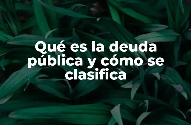 Qué es la Deuda Pública y Cómo Se Clasifica