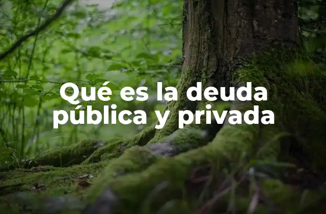 Qué es la Deuda Pública y Privada