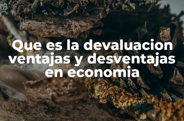 Que es la Devaluacion Ventajas y Desventajas en Economia