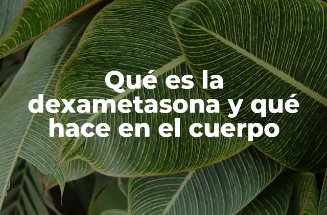 Qué es la Dexametasona y Qué Hace en el Cuerpo