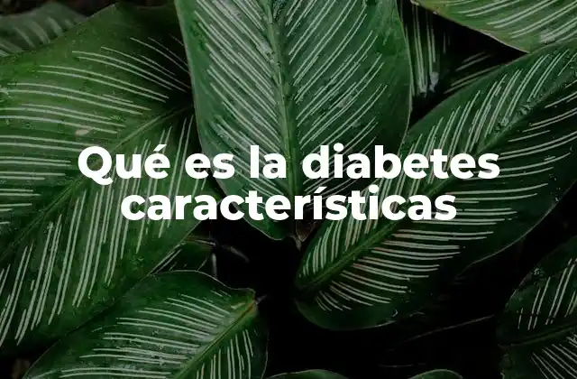 Qué es la Diabetes Características