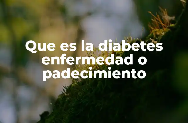 Que es la Diabetes Enfermedad o Padecimiento