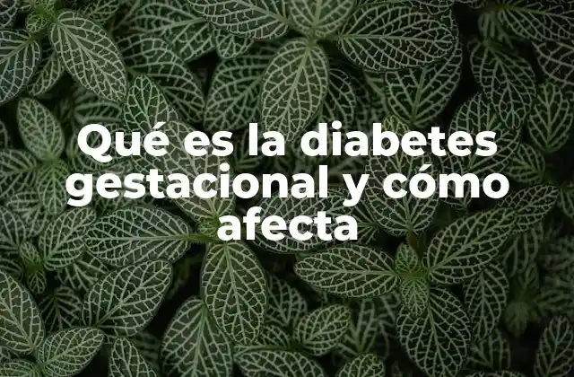 Qué es la Diabetes Gestacional y Cómo Afecta 2 La relación entre el embarazo y la regulación de la glucosa