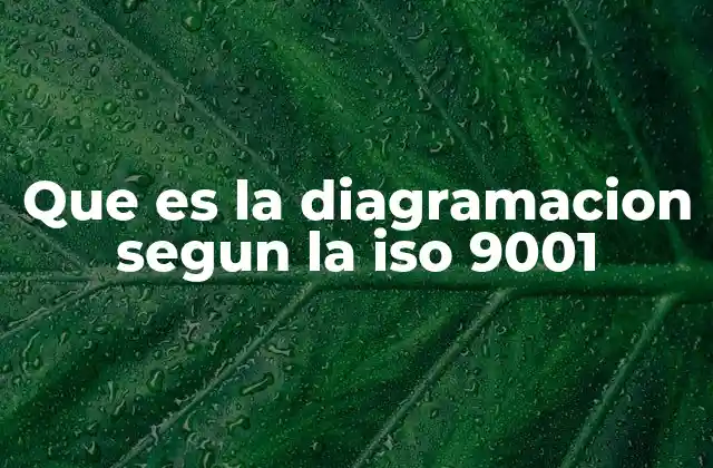 Que es la Diagramacion Segun la Iso 9001