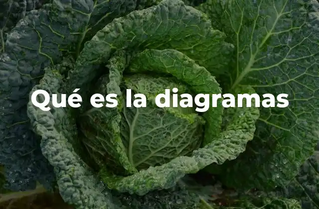 Qué es la Diagramas