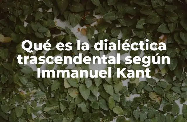 Qué es la Dialéctica Trascendental según Immanuel Kant