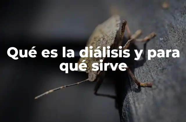 El papel de los riñones y la necesidad de diálisis