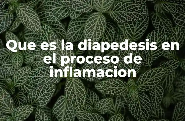 Que es la Diapedesis en el Proceso de Inflamacion