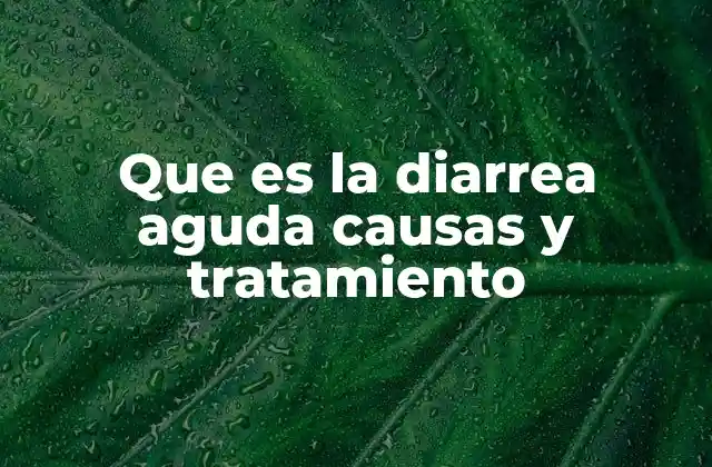 Que es la Diarrea Aguda Causas y Tratamiento