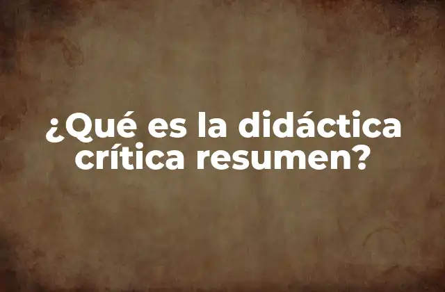 ¿qué es la Didáctica Crítica Resumen?