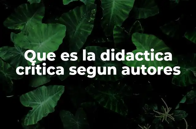 Que es la Didactica Critica Segun Autores