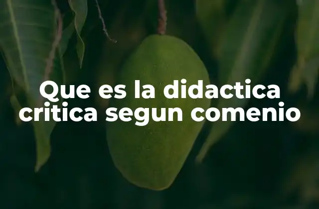Que es la Didactica Critica Segun Comenio