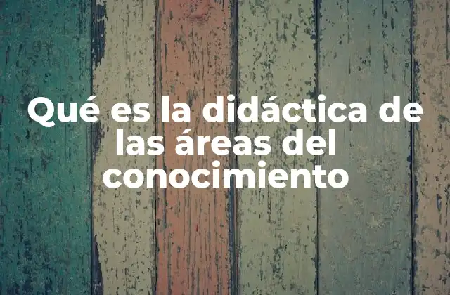 Qué es la Didáctica de las Áreas Del Conocimiento