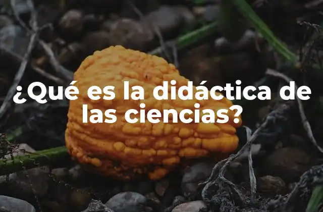 ¿qué es la Didáctica de las Ciencias?