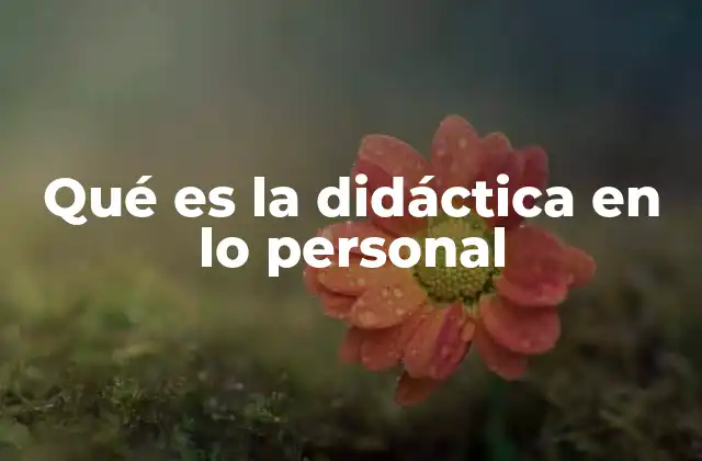 Qué es la Didáctica en Lo Personal