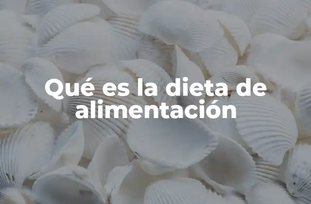 Qué es la Dieta de Alimentación