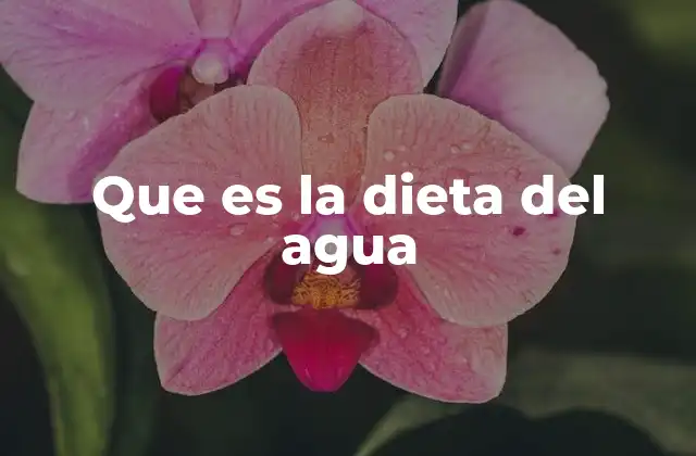 Que es la Dieta Del Agua