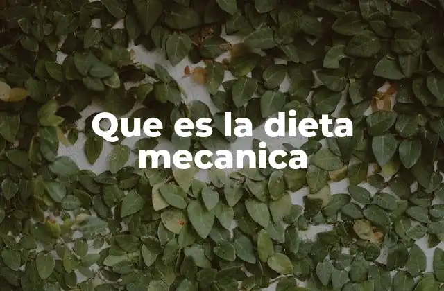 Que es la Dieta Mecanica