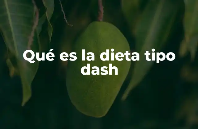 Qué es la Dieta Tipo Dash