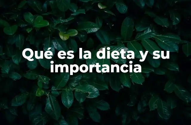 Qué es la Dieta y Su Importancia