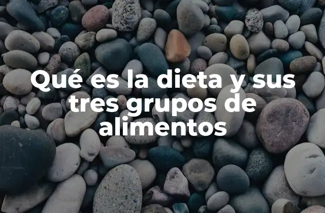 Qué es la Dieta y Sus Tres Grupos de Alimentos