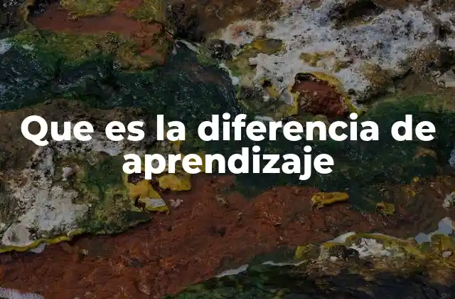 Que es la Diferencia de Aprendizaje