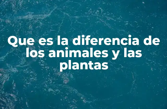 Que es la Diferencia de los Animales y las Plantas