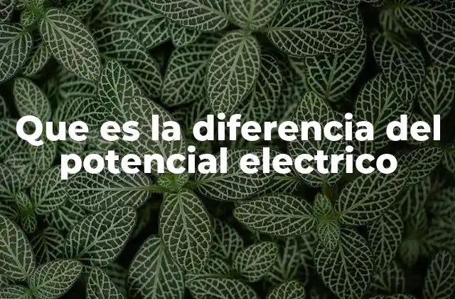 Que es la Diferencia Del Potencial Electrico