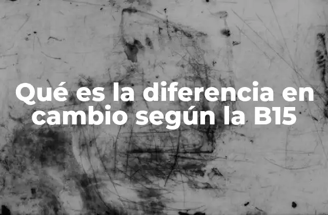 Qué es la Diferencia en Cambio según la B15