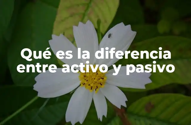 Qué es la Diferencia entre Activo y Pasivo