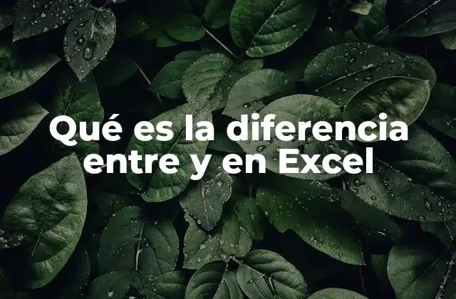 Qué es la Diferencia entre y en Excel