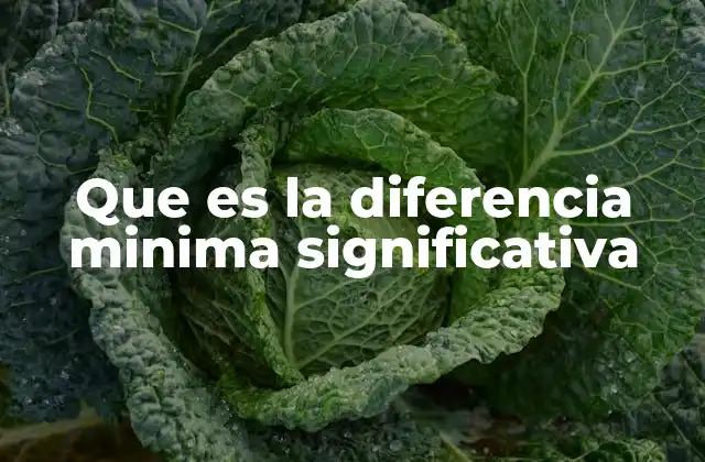 Que es la Diferencia Minima Significativa