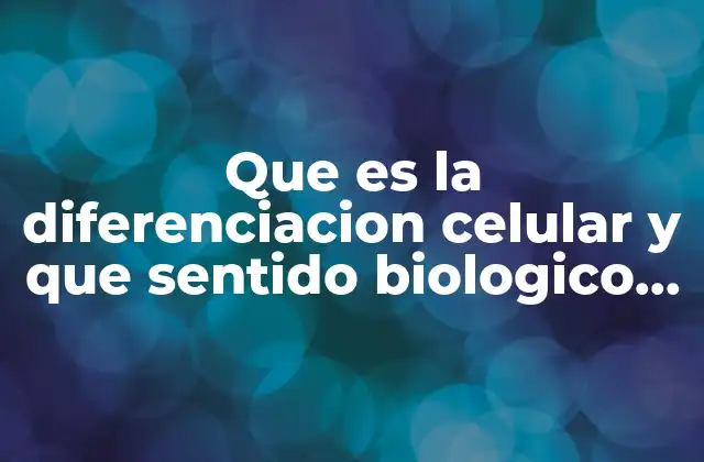 Que es la Diferenciacion Celular y que Sentido Biologico Tiene