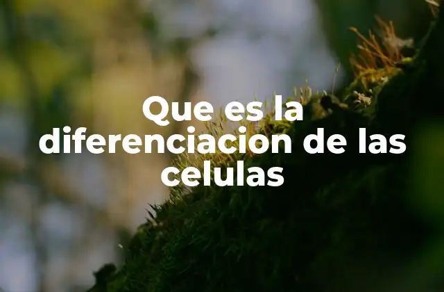 La base molecular de la diferenciación celular