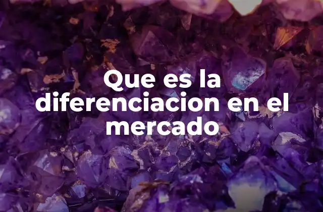 Que es la Diferenciacion en el Mercado