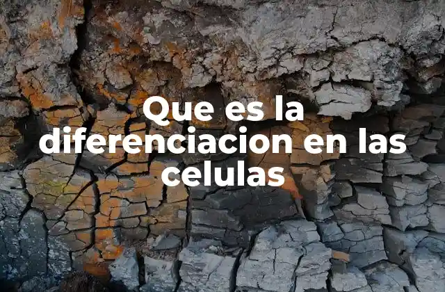 Que es la Diferenciacion en las Celulas