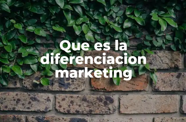 Que es la Diferenciacion Marketing